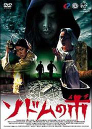 sdm-dvd.jpg